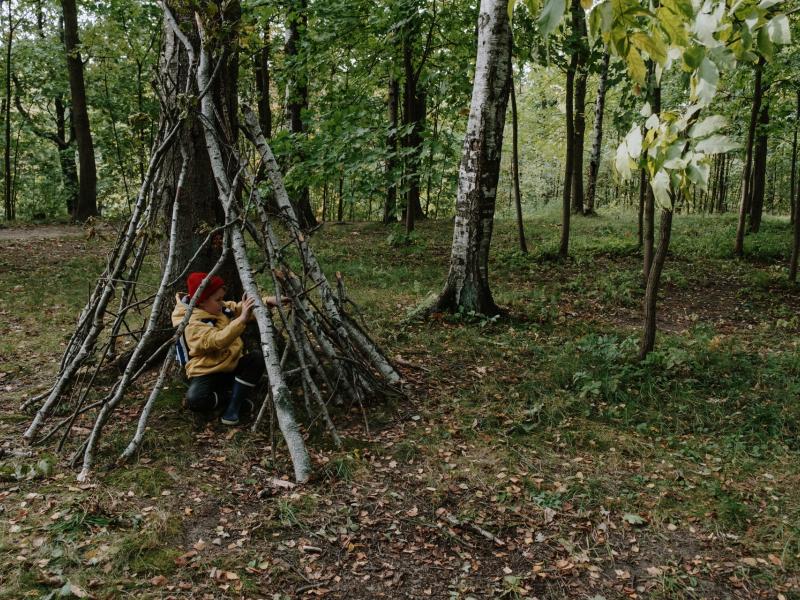 Exploitation forestière Bouvet Geoffroy
